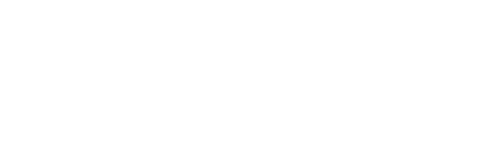 Google Play Softphone Wonit